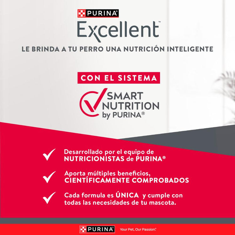 Purina Excellent Skin Care Perros