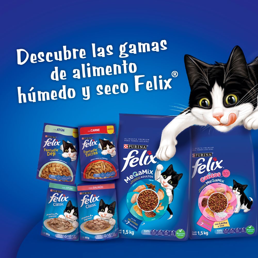 Felix Megamix Adulto