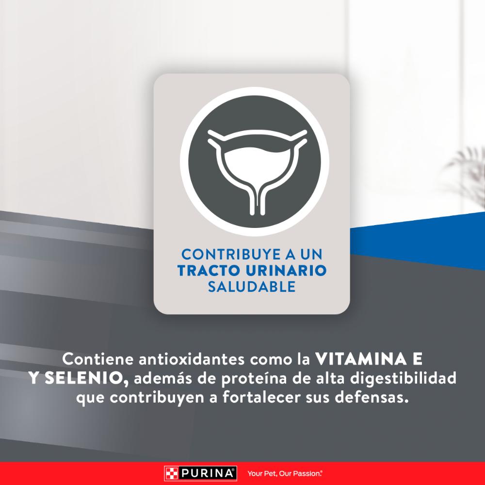 Purina Excellent Gatos Adultos