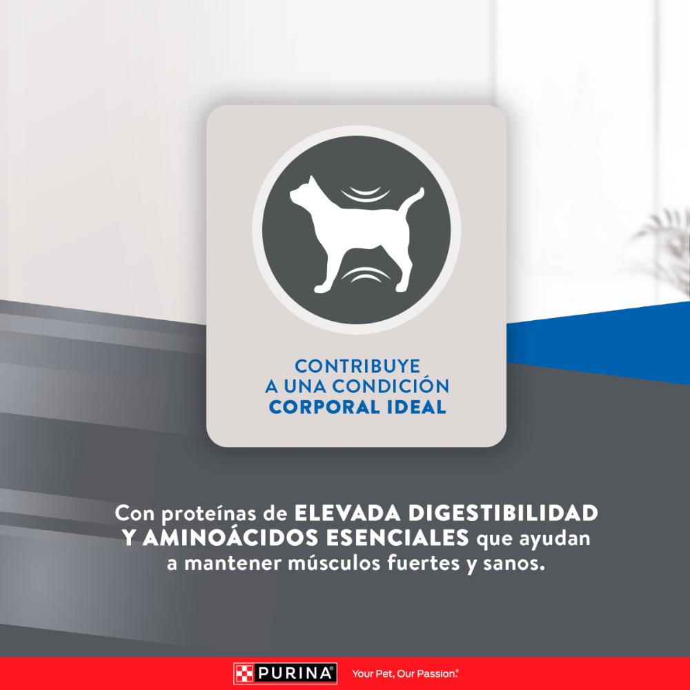 Purina Excellent Gatos Adultos