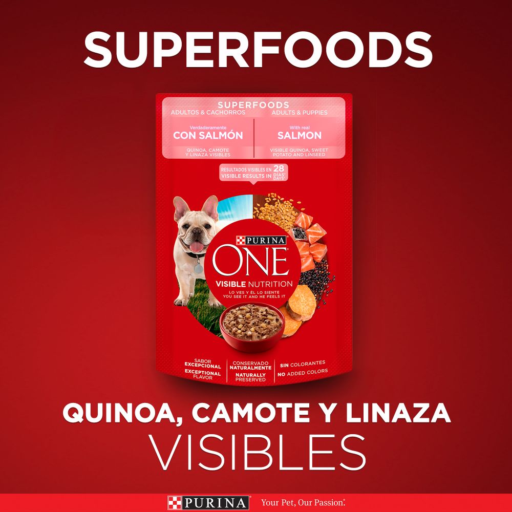 Purina One Superfoods Cachorros y Adultos Salmón