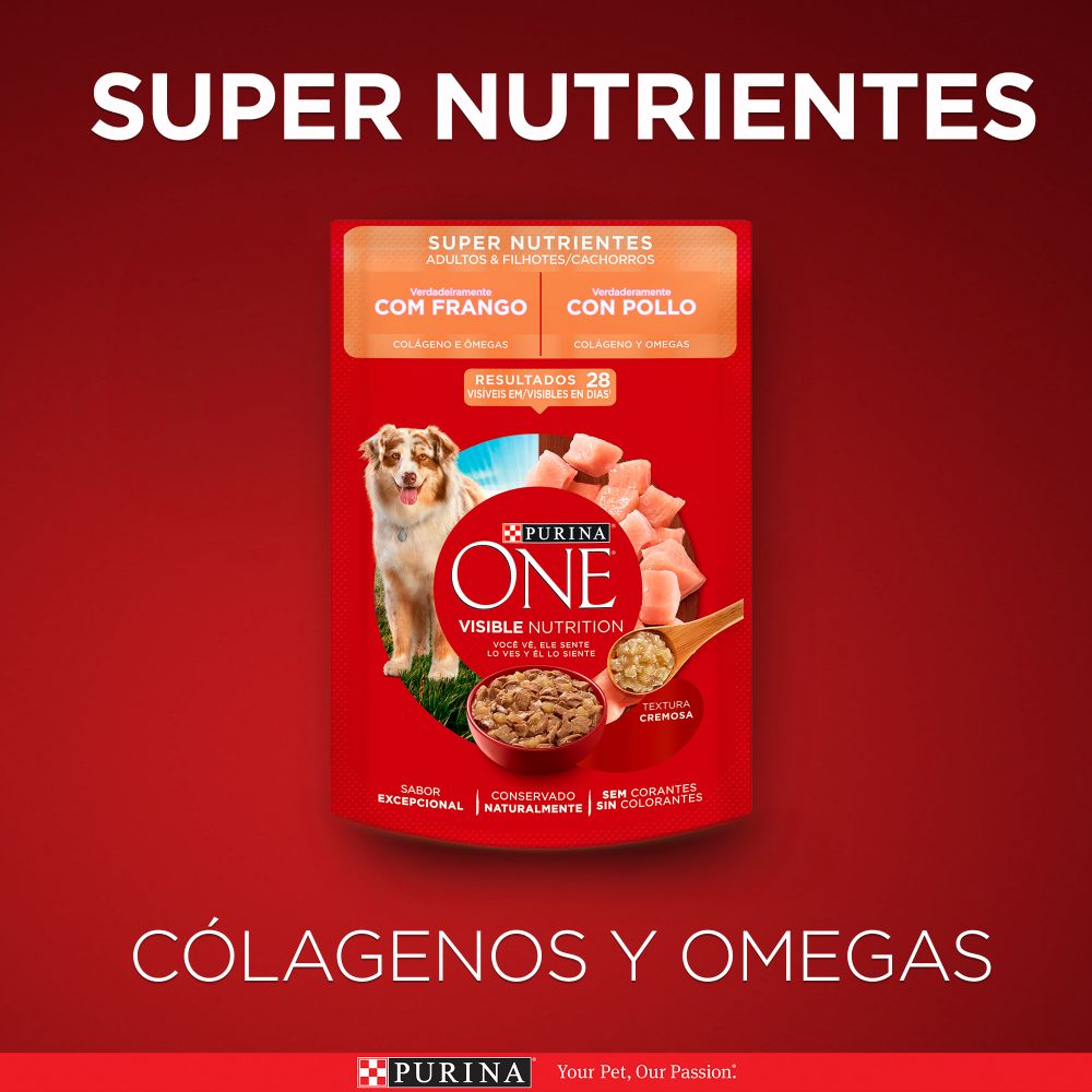 Purina One Superfoods Cachorros y Adultos Pollo