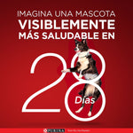 Purina One Multi Proteínas Cachorros y Adultos