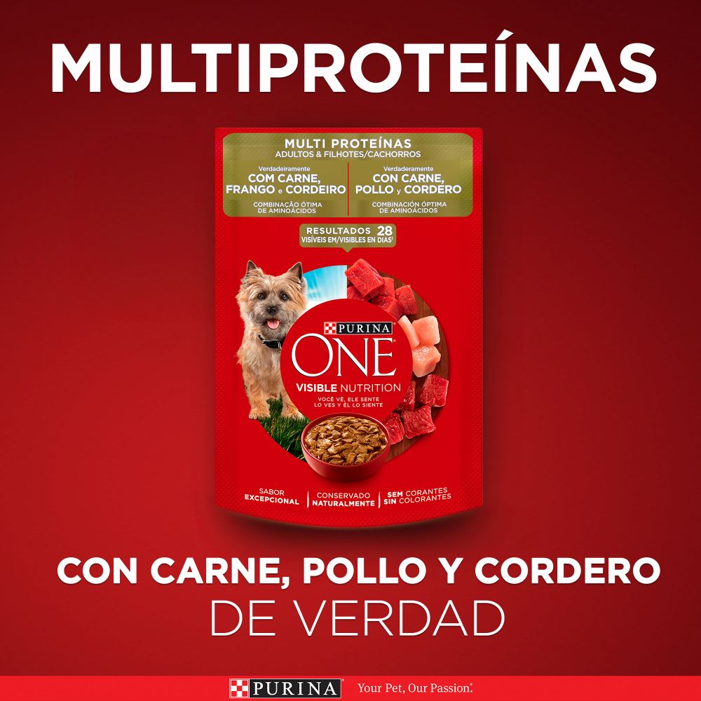 Purina One Multi Proteínas Cachorros y Adultos
