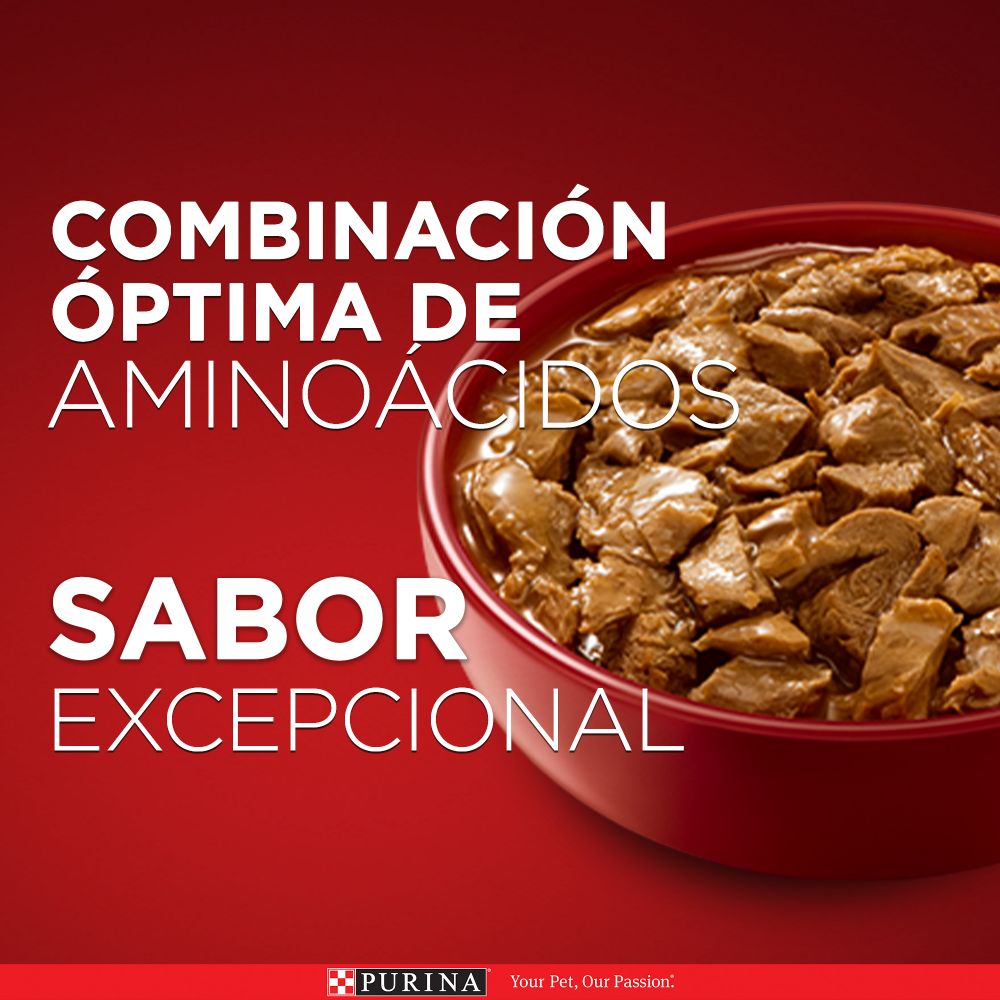 Purina One Multi Proteínas Cachorros y Adultos