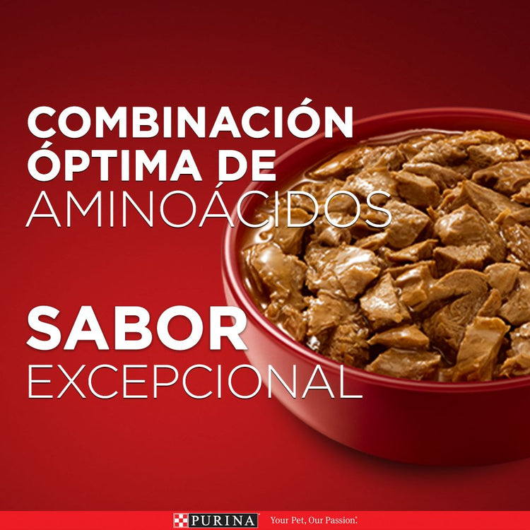 Purina One Multi Proteínas Cachorros y Adultos