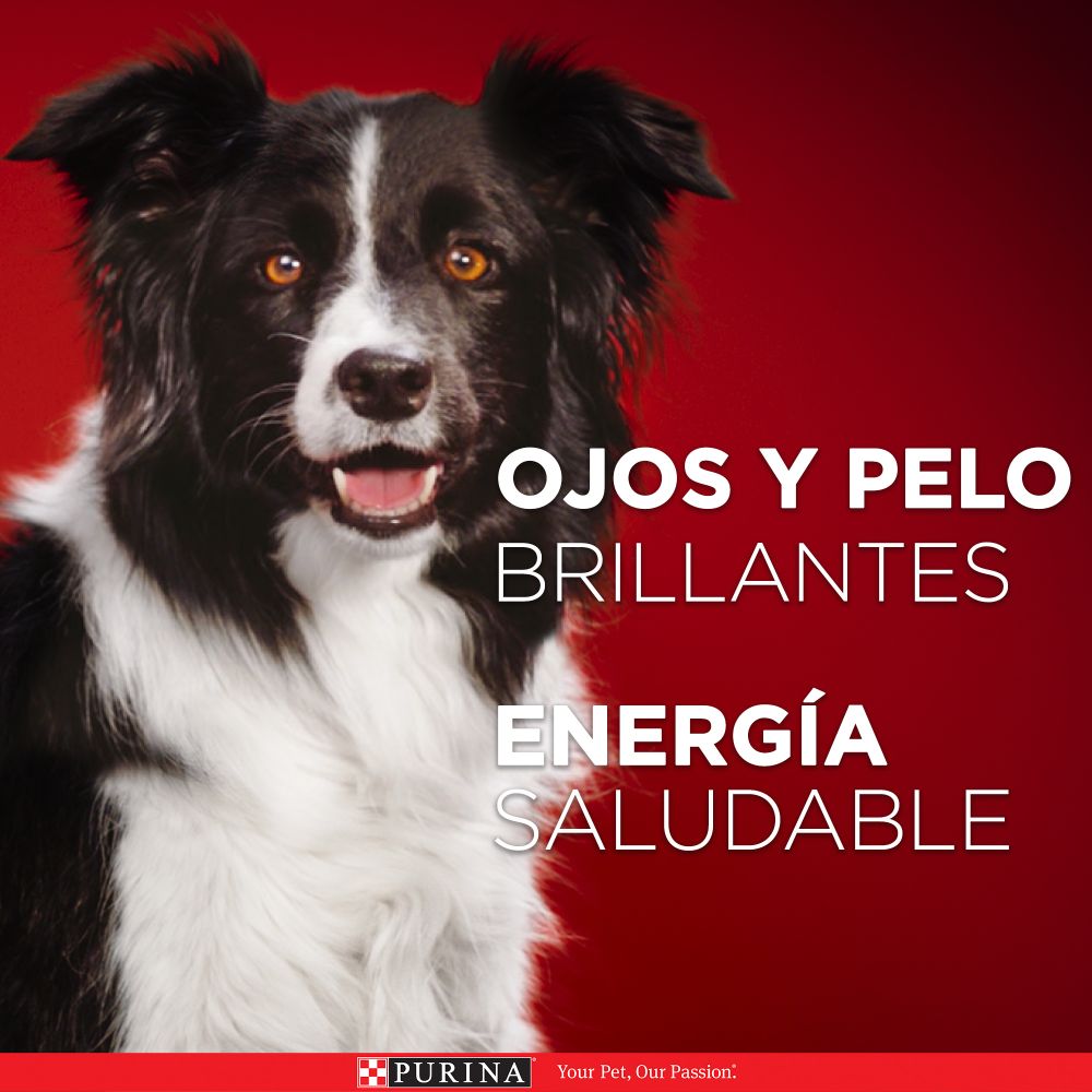 Purina One Multi Proteínas Cachorros y Adultos