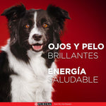 Purina One Multi Proteínas Cachorros y Adultos