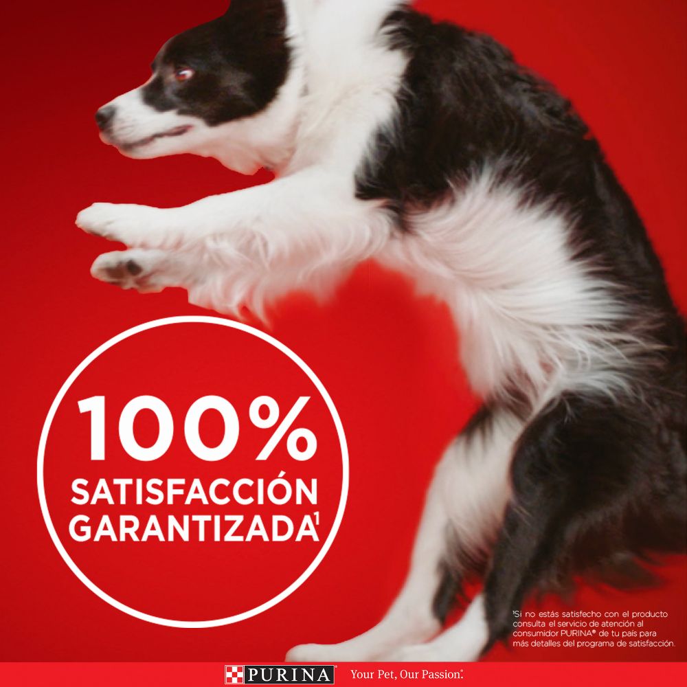 Purina One Multi Proteínas Cachorros y Adultos