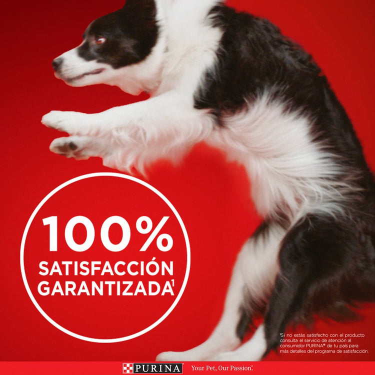 Purina One Multi Proteínas Cachorros y Adultos