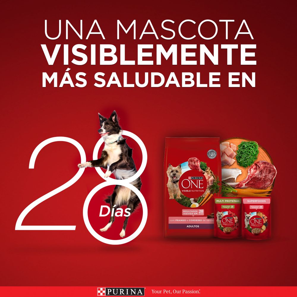 Purina One Multi Proteínas Cachorros y Adultos