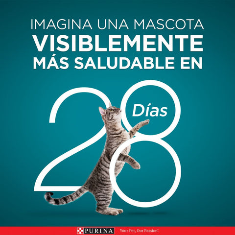 Purina One Superfoods Gatos Esterilizados Salmón