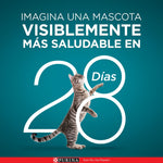 Purina One Superfoods Gatos Esterilizados Carne