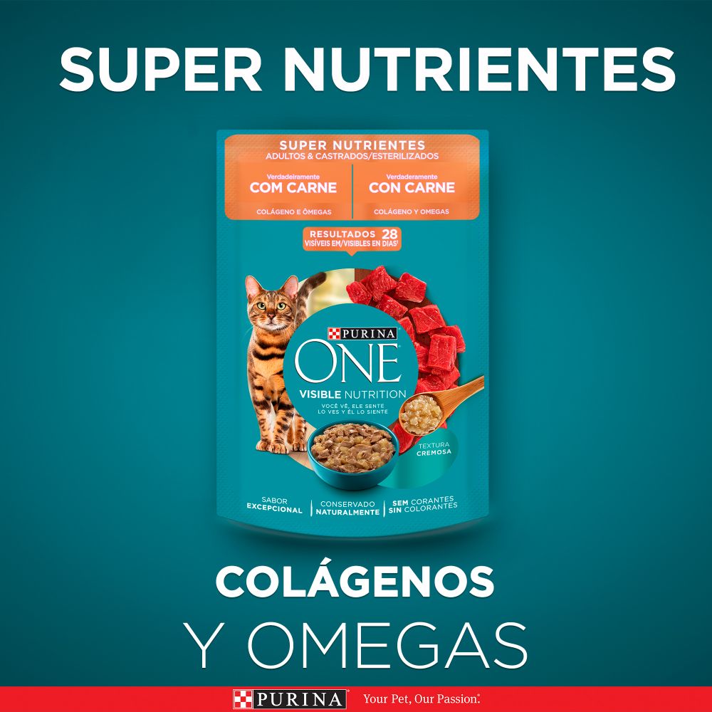 Purina One Superfoods Gatos Esterilizados Carne