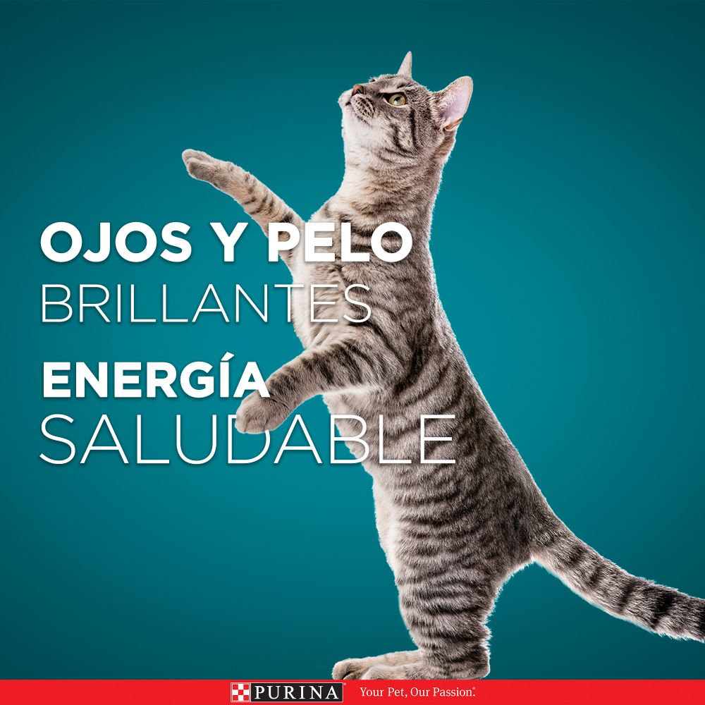 Purina One Superfoods Gatos Esterilizados Carne