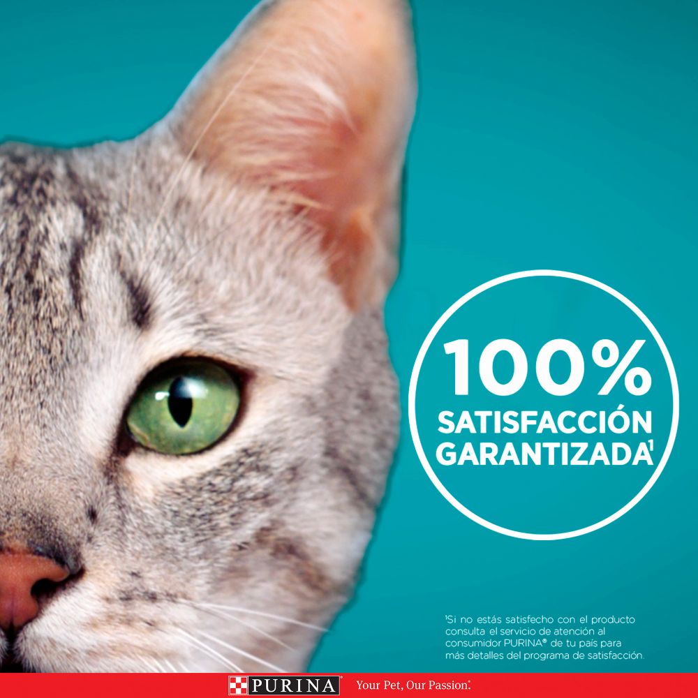 Purina One Superfoods Gatos Esterilizados Carne