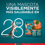 Purina One Superfoods Gatos Esterilizados Carne
