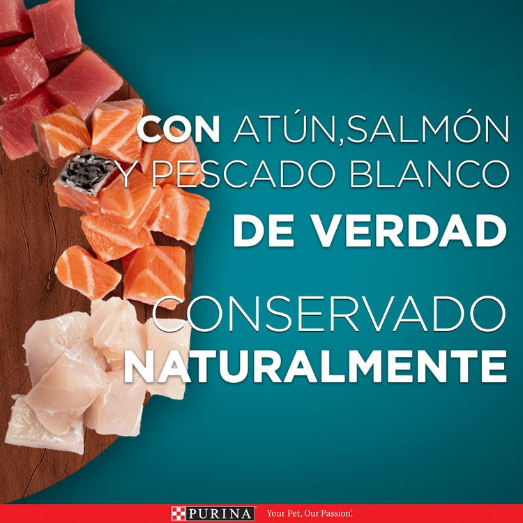 Purina One Multi Proteínas Gatos y Gatitos