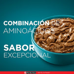Purina One Multi Proteínas Gatos y Gatitos