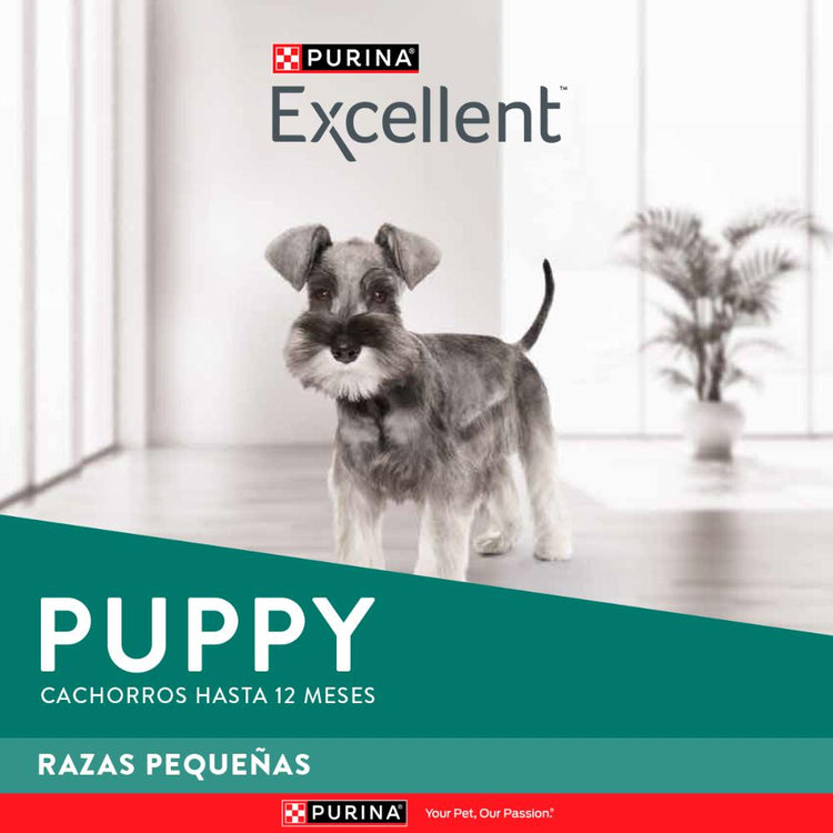 Purina Excellent Razas Pequeñas