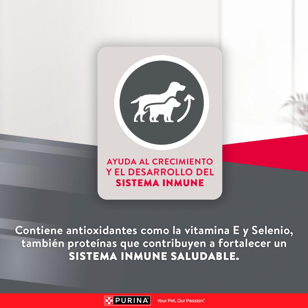 Purina Excellent Razas Pequeñas