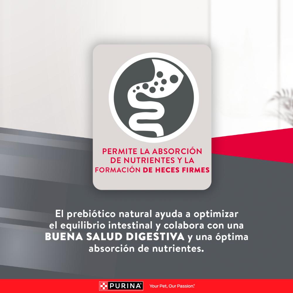 Purina Excellent Razas Pequeñas