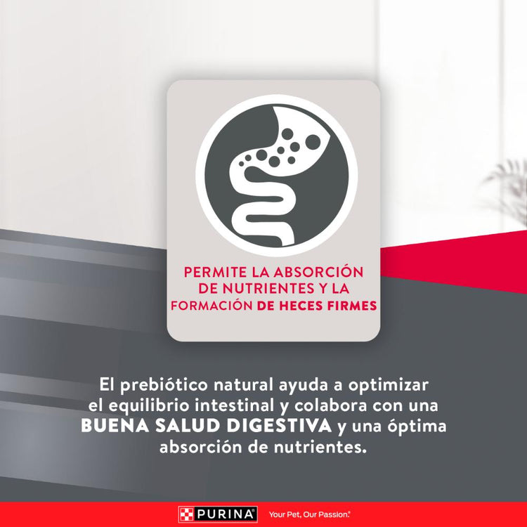 Purina Excellent Razas Pequeñas