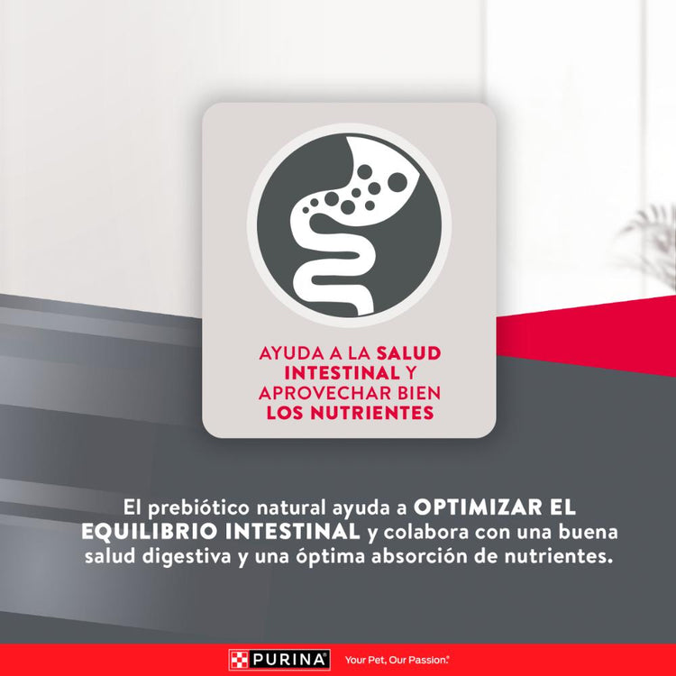 Purina Excellent Perros Adultos Razas Pequeñas