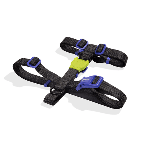 Arnés para Perros H - Harness Nox
