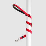 Correa Basic Felcan