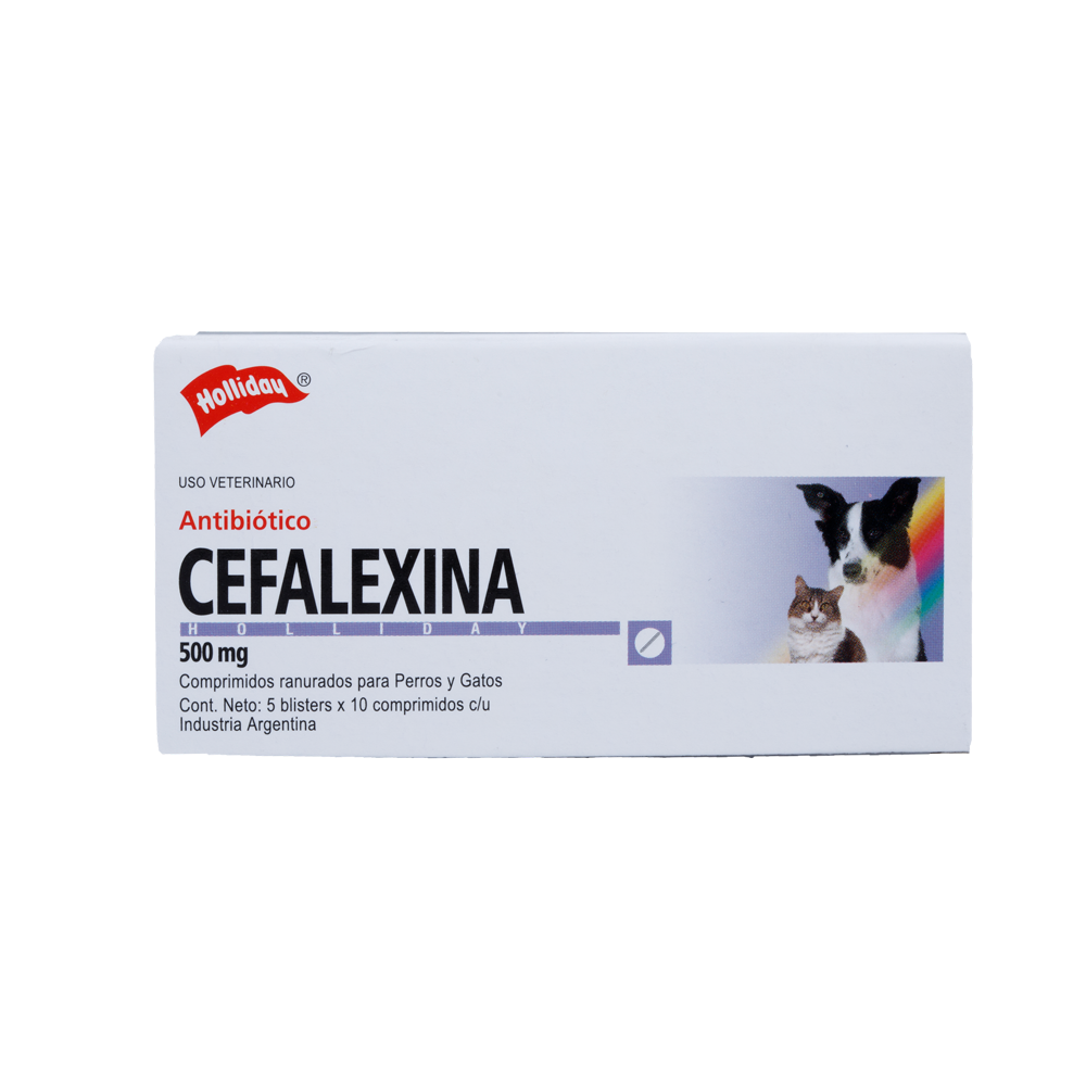 Cefalexina 500 Mg