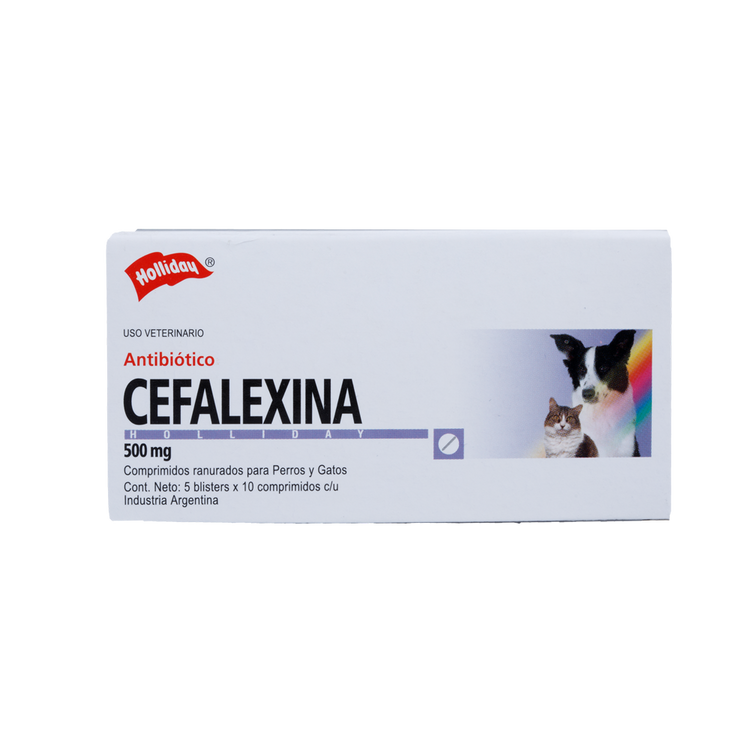 Cefalexina 500 Mg