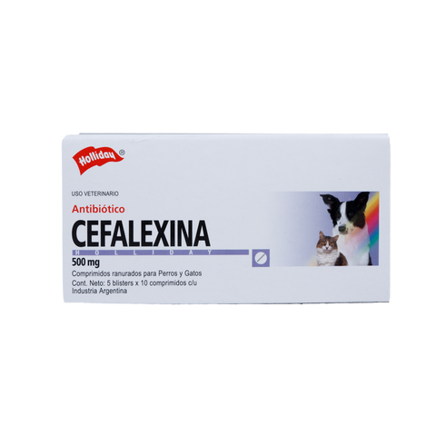 Cefalexina 500 Mg