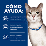 Hill's Prescription Diet k/d Gatos - PetsPlaza