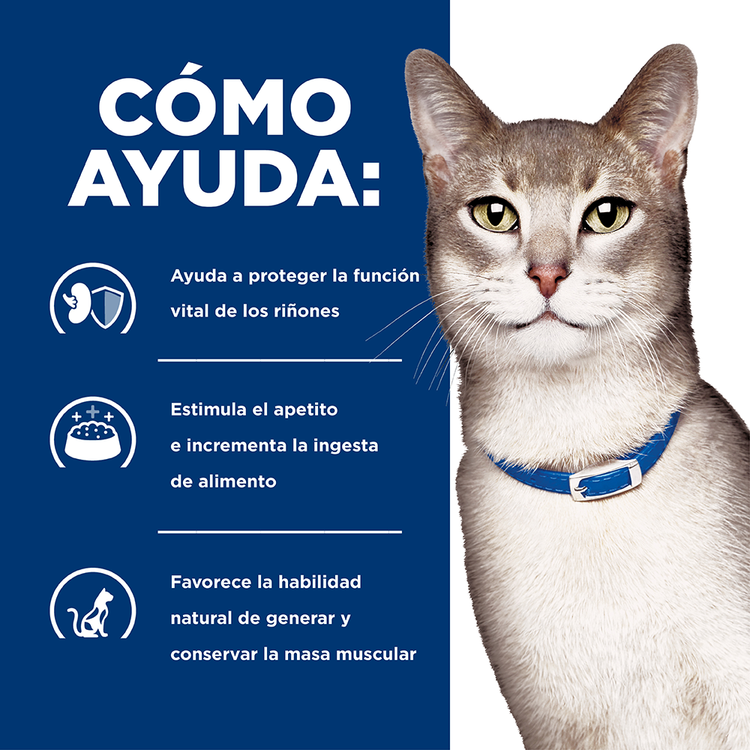 Hill's Prescription Diet k/d Gatos - PetsPlaza