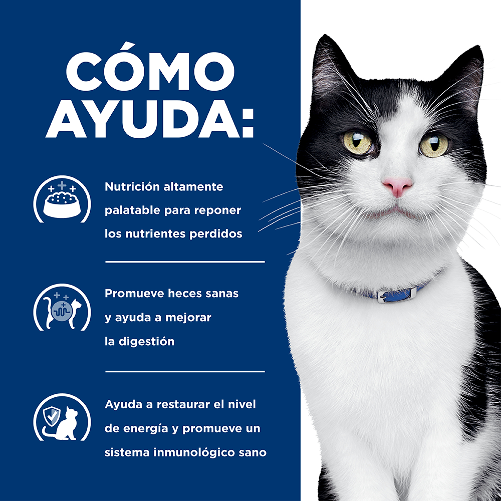 Hill's Prescription Diet i/d Gatos - PetsPlaza