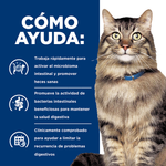 Hill's Prescription Diet Biome Gastrointestinal Gatos - PetsPlaza