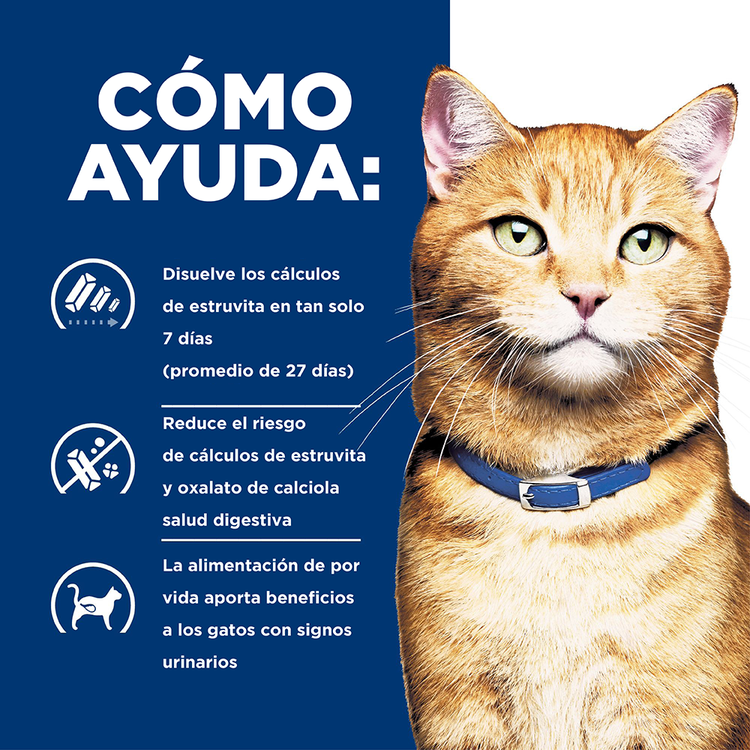 Hill's Prescription Diet c/d Gatos