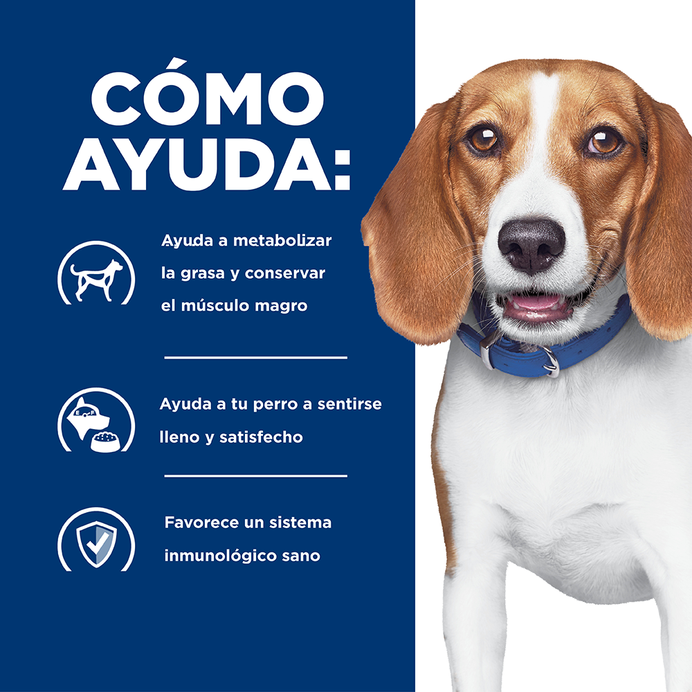 Hill's Prescription Diet r/d Perros - PetsPlaza