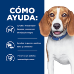 Hill's Prescription Diet r/d Perros - PetsPlaza
