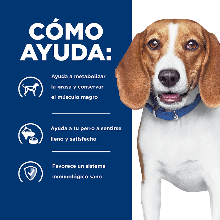 Hill's Prescription Diet r/d Perros - PetsPlaza
