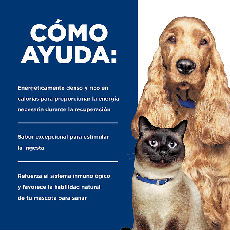 Hill's Prescription Diet a/d Perros y Gatos