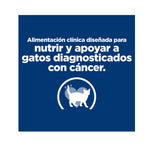 Hill's Prescription Diet ONC Care Alimento Seco de Pollo para Gatos 3,1Kg