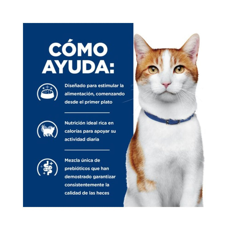Hill's Prescription Diet ONC Care Alimento Húmedo de Pollo para Gatos