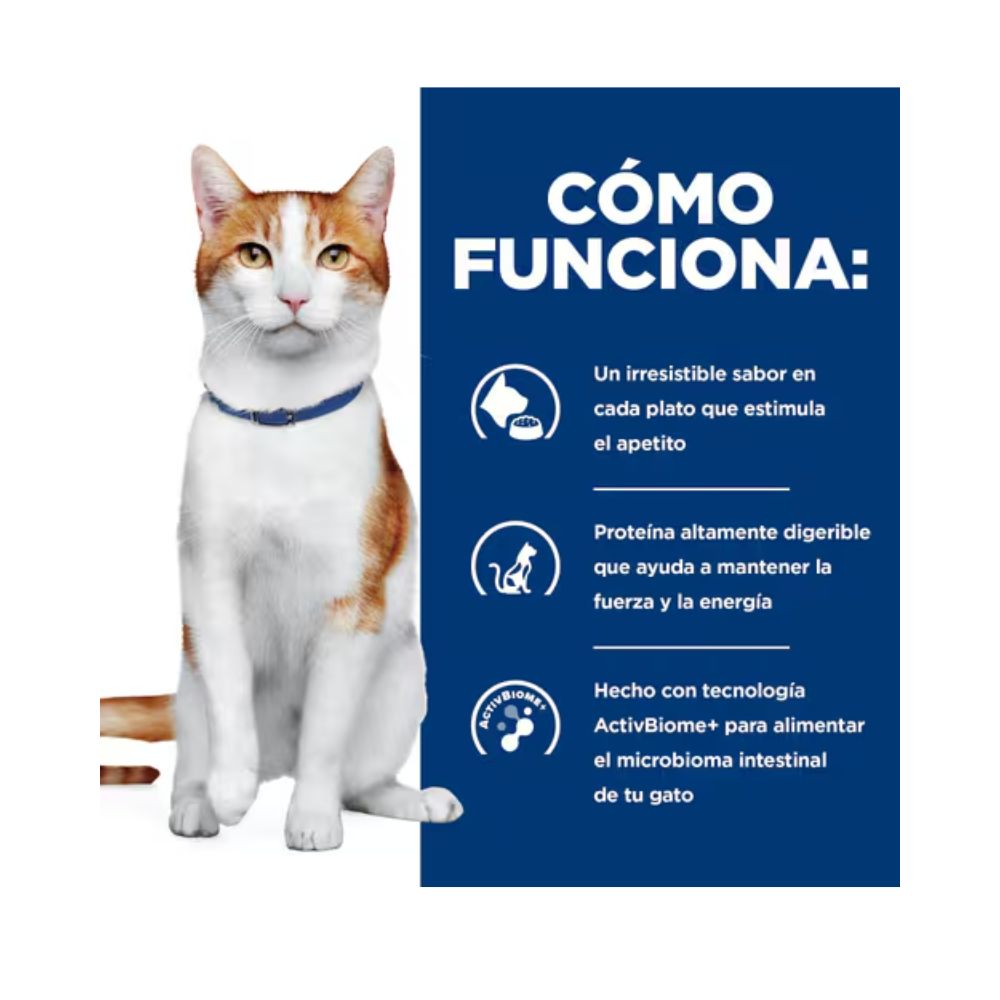 Hill's Prescription Diet ONC Care Alimento Húmedo de Pollo para Gatos
