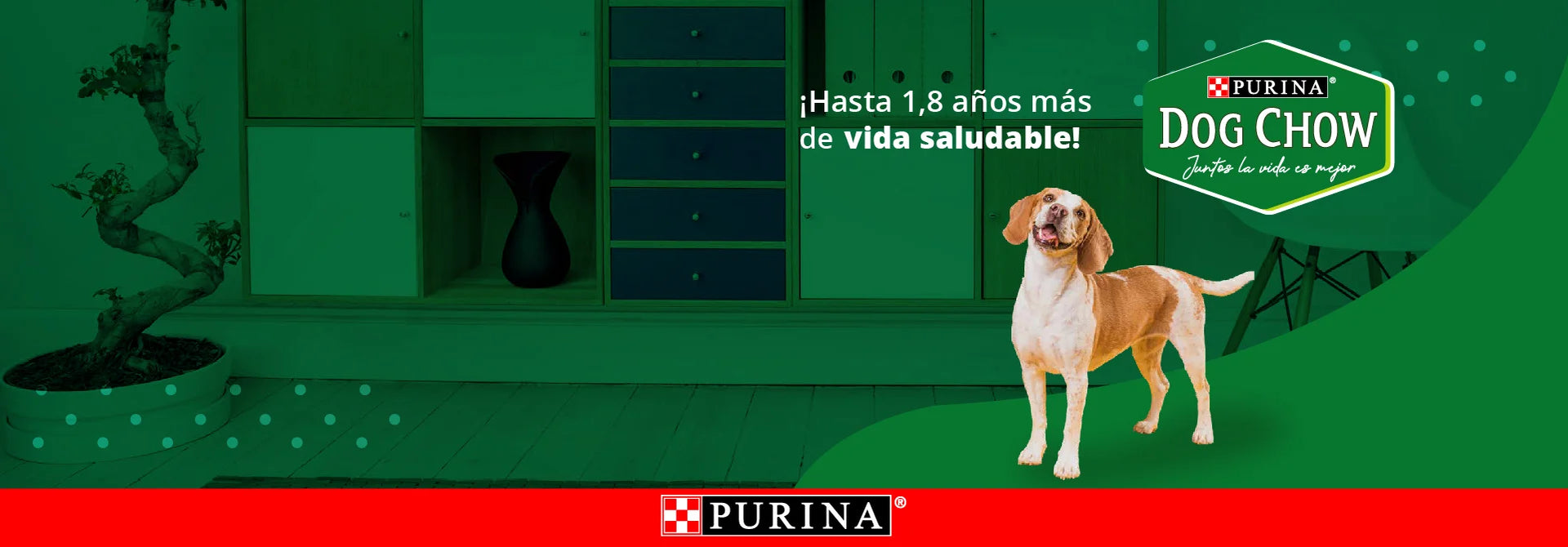Juntos le damos una mejor calidad de vida tu mascota