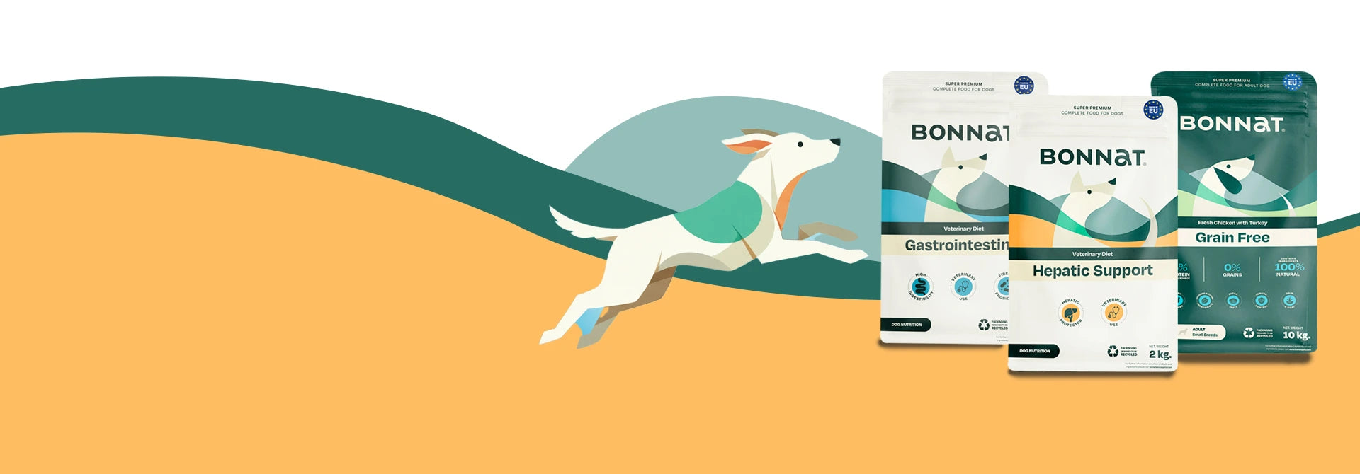 ¡Nuevo en la colección!