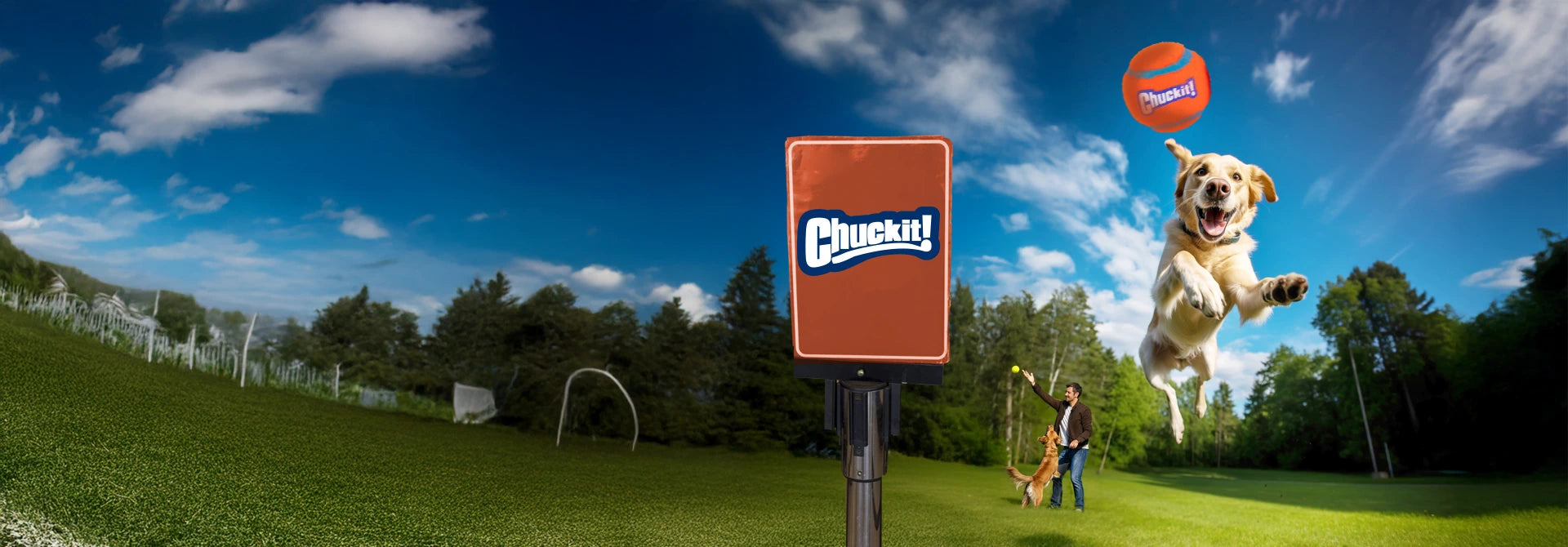 ¡Los mejores juguetes interactivos para tus mascotas!