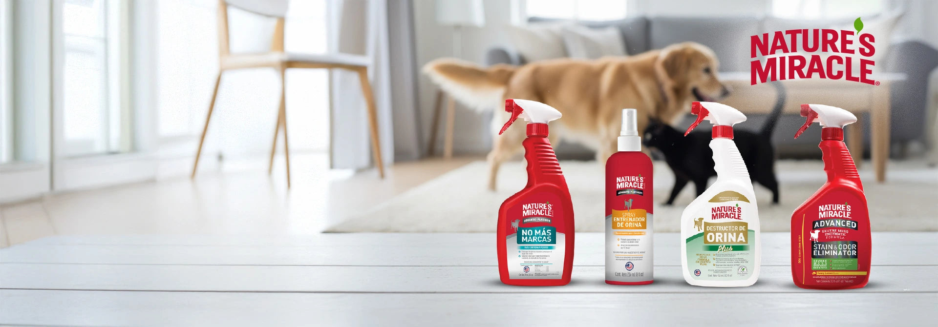 ¡De nuevo disponible y con amplio stock!