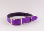 Collar Para Perro Sintetico Neop 1"